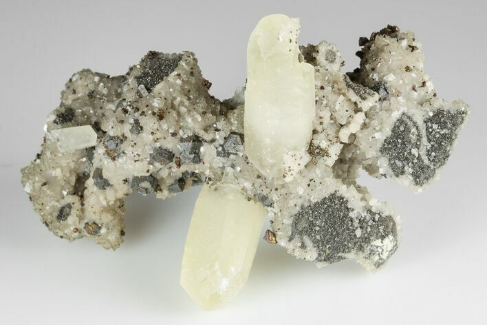 Hexagonal Calcite, Chalcopyrite and Galena Association - Missouri #193780